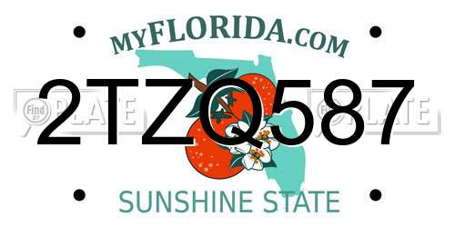 2TZQ587 Florida License Plate