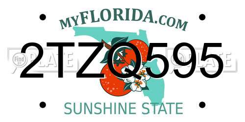 2TZQ595 Florida License Plate