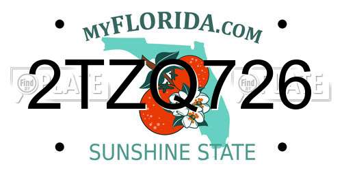 2TZQ726 Florida License Plate