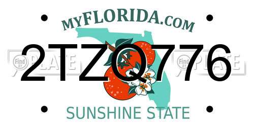 2TZQ776 Florida License Plate