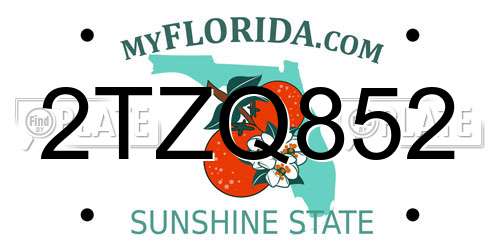 2TZQ852 Florida License Plate