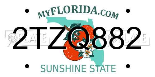 2TZQ882 Florida License Plate