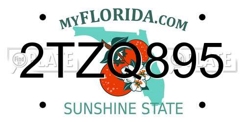 2TZQ895 Florida License Plate