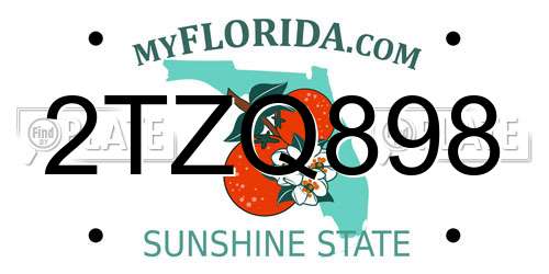 2TZQ898 Florida License Plate