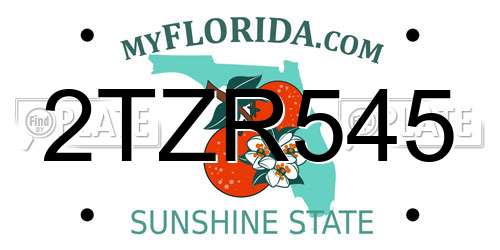 2TZR545 Florida License Plate