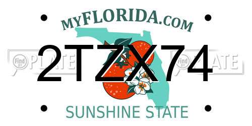 2TZX74 Florida License Plate