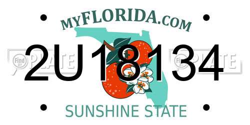 2U18134 Florida License Plate