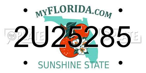 2U25285 Florida License Plate