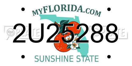 2U25288 Florida License Plate