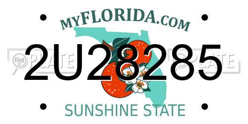 2U28285 Florida License Plate