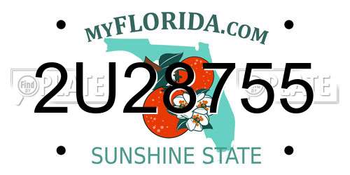 2U28755 Florida License Plate