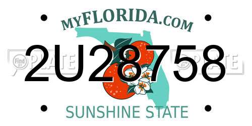 2U28758 Florida License Plate