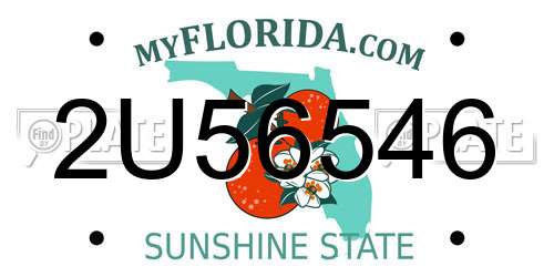 2U56546 Florida License Plate