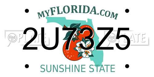 2U73Z5 Florida License Plate