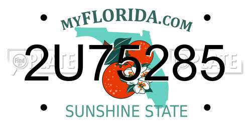 2U75285 Florida License Plate