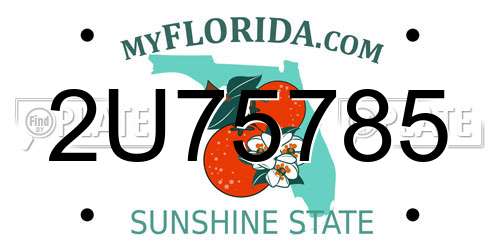 2U75785 Florida License Plate