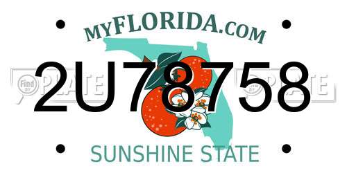 2U78758 Florida License Plate