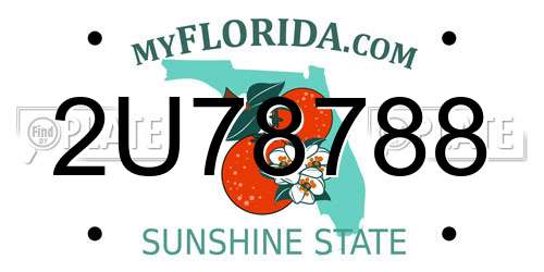 2U78788 Florida License Plate