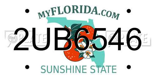 2UB6546 Florida License Plate