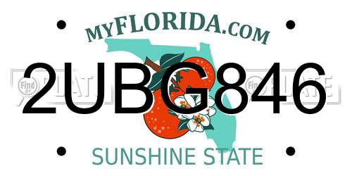 2UBG846 Florida License Plate
