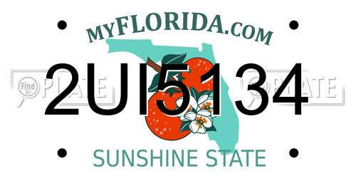 2UI5134 Florida License Plate