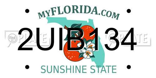 2UIB134 Florida License Plate