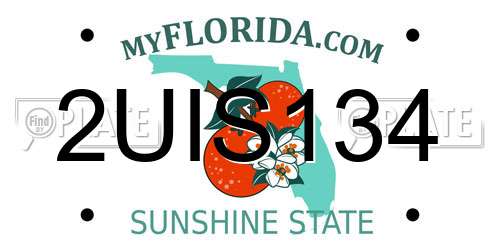 2UIS134 Florida License Plate