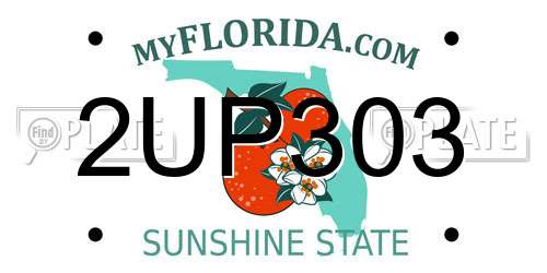 2UP303 Florida License Plate