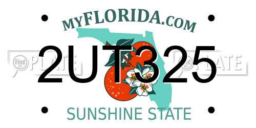 2UT325 Florida License Plate