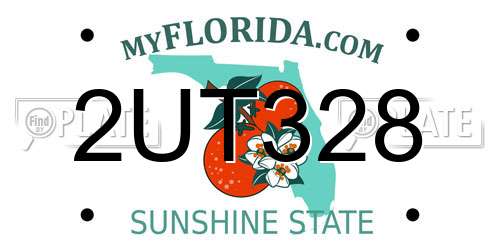2UT328 Florida License Plate