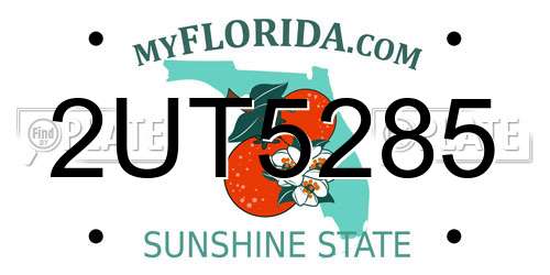 2UT5285 Florida License Plate