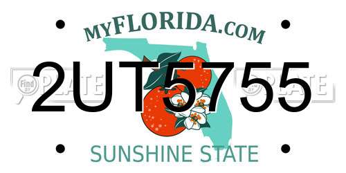 2UT5755 Florida License Plate