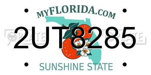 2UT8285 Florida License Plate
