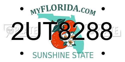 2UT8288 Florida License Plate