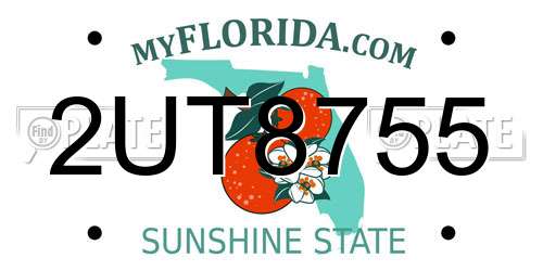 2UT8755 Florida License Plate