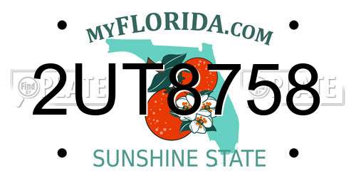 2UT8758 Florida License Plate