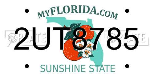2UT8785 Florida License Plate