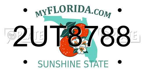 2UT8788 Florida License Plate
