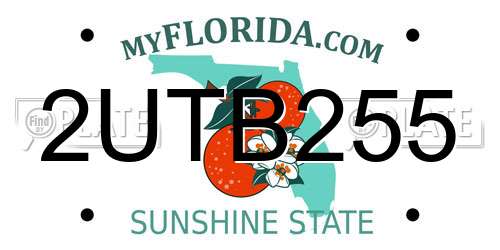 2UTB255 Florida License Plate