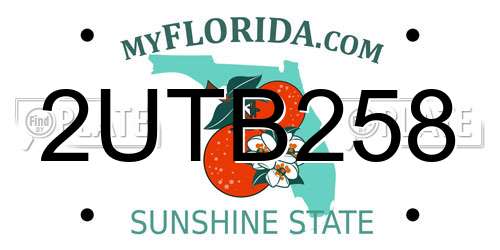 2UTB258 Florida License Plate