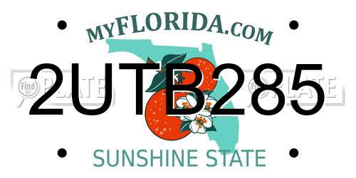 2UTB285 Florida License Plate