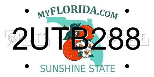 2UTB288 Florida License Plate