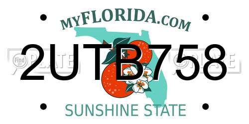 2UTB758 Florida License Plate