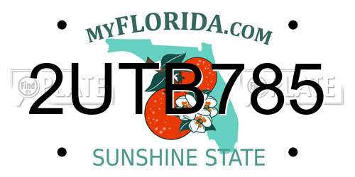 2UTB785 Florida License Plate