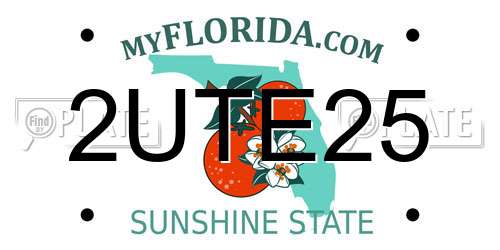 2UTE25 Florida License Plate