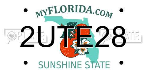 2UTE28 Florida License Plate