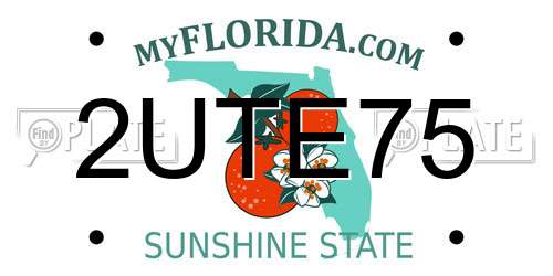 2UTE75 Florida License Plate