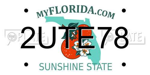 2UTE78 Florida License Plate