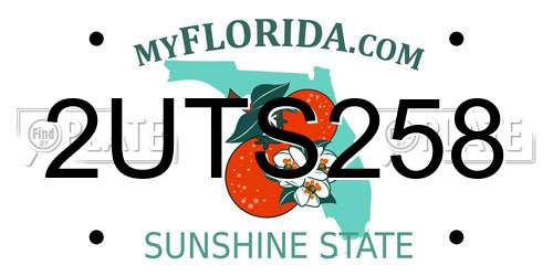 2UTS258 Florida License Plate