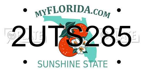 2UTS285 Florida License Plate